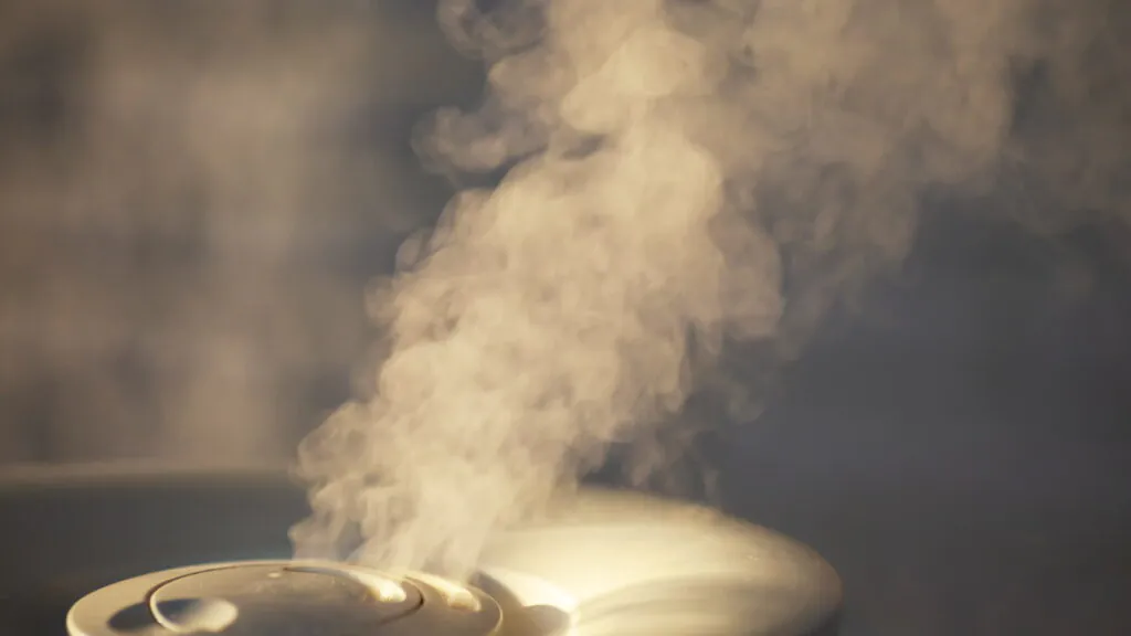 Why Colorado Homes Need a Whole-Home Humidifier (And How It Works) image raw